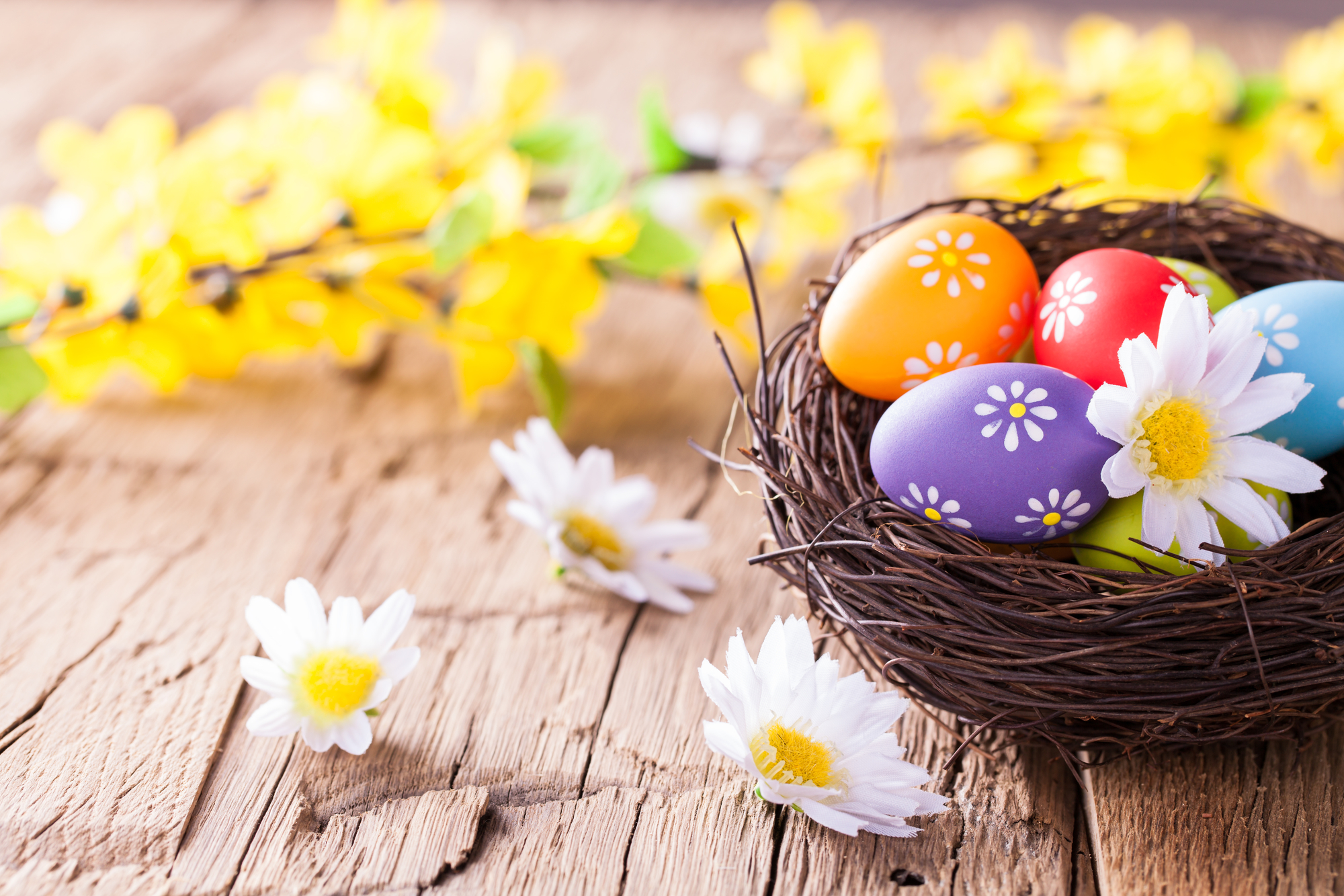 What does Easter Mean to Me? by Reg Quist