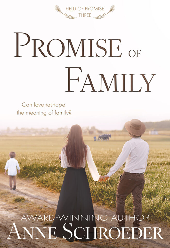 Promise of Family (Field of Promise Book 3): A Non-Traditional Contemporary Amish Romance by Anne Schroeder
