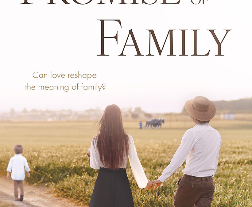 Promise of Family (Field of Promise Book 3): A Non-Traditional Contemporary Amish Romance by Anne Schroeder