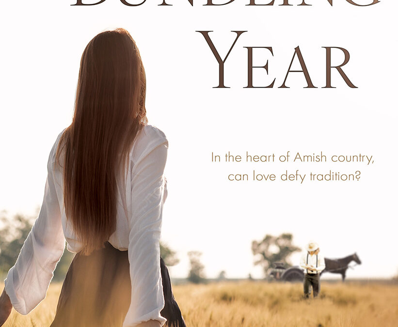 The Bundling Year (Field of Promise 1): A Non-Traditional Contemporary Amish Romance by Anne Schroeder