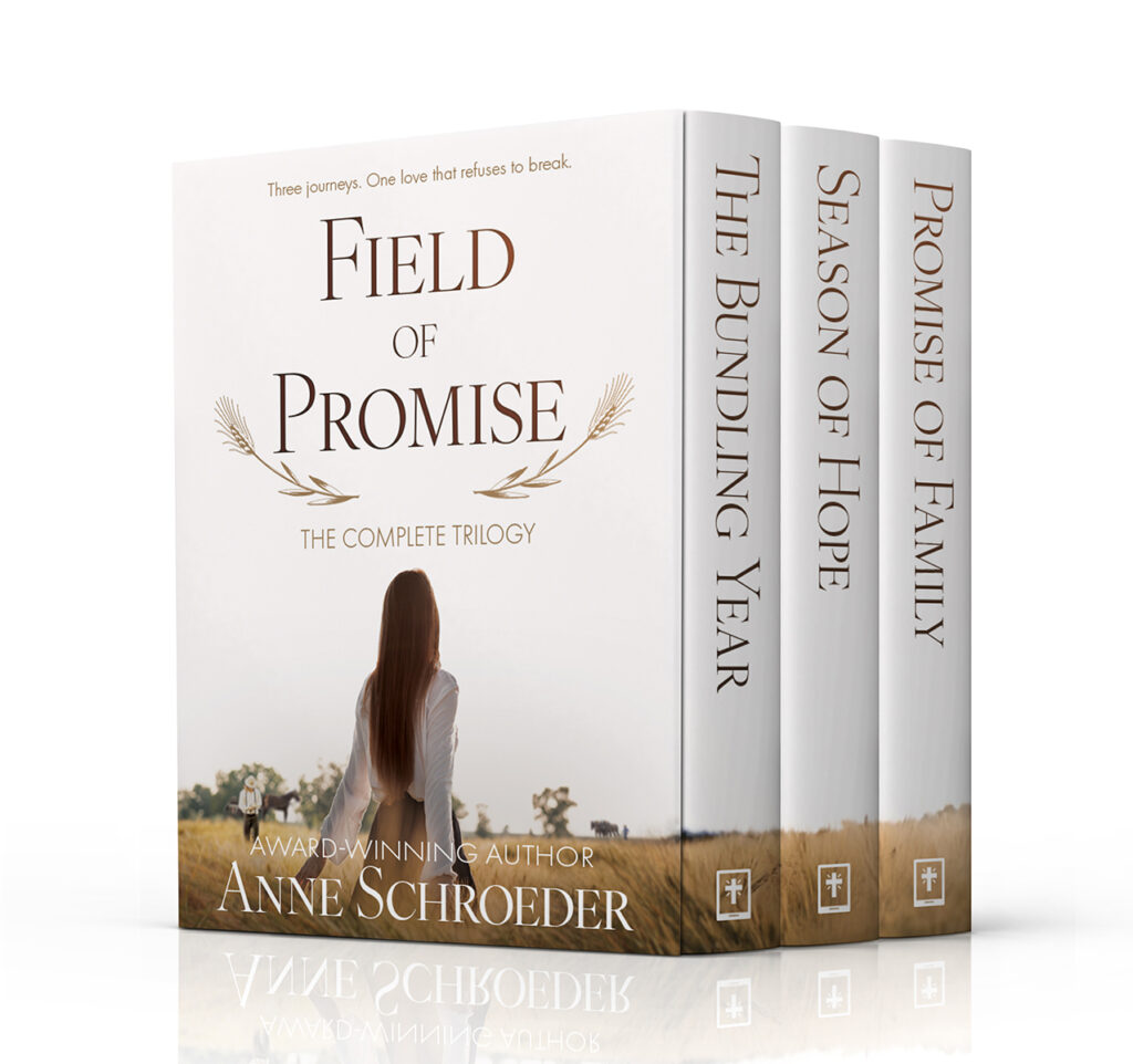 Field of Promise: The Complete Contemporary Amish Romance Trilogy by Anne Schroeder